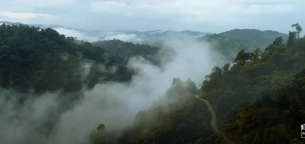 Lampi Valley (Hidden Gems of Assam)