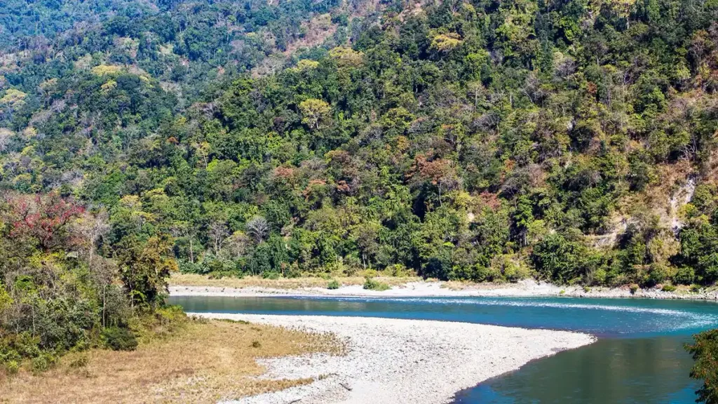 Manas National Park