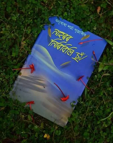 Nahoror Niribili Cha