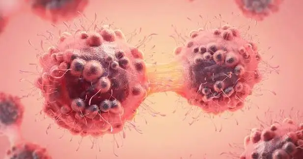 ICMR Cancer Report